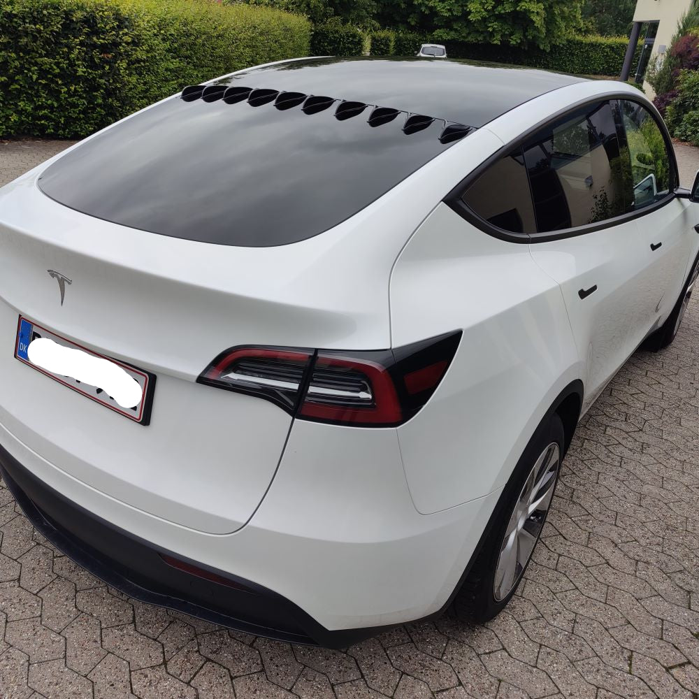 V Spoilers for passenger cars (Kit with 10 pcs.) - US