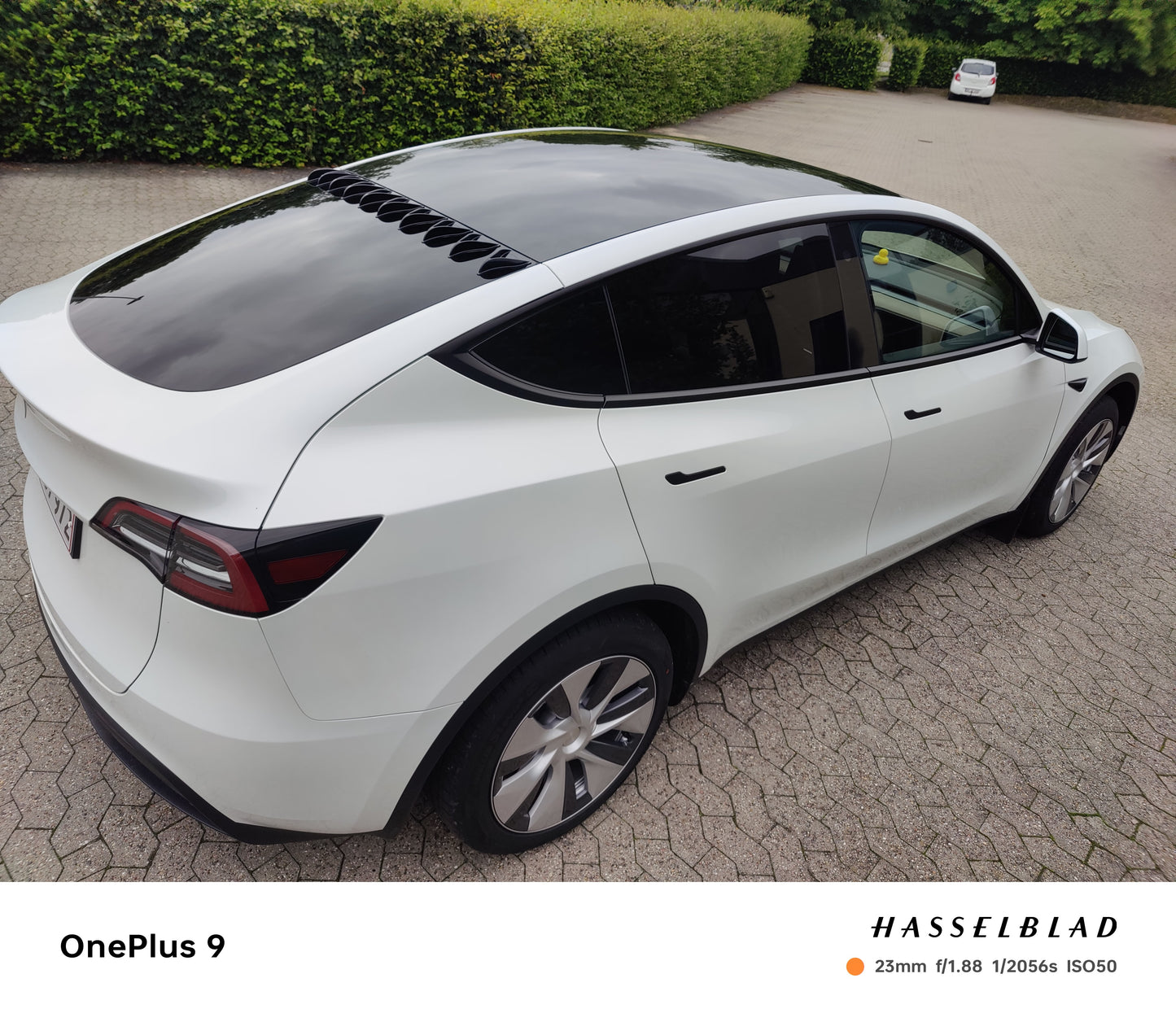 V Spoilers for passenger cars (Kit with 10 pcs.)