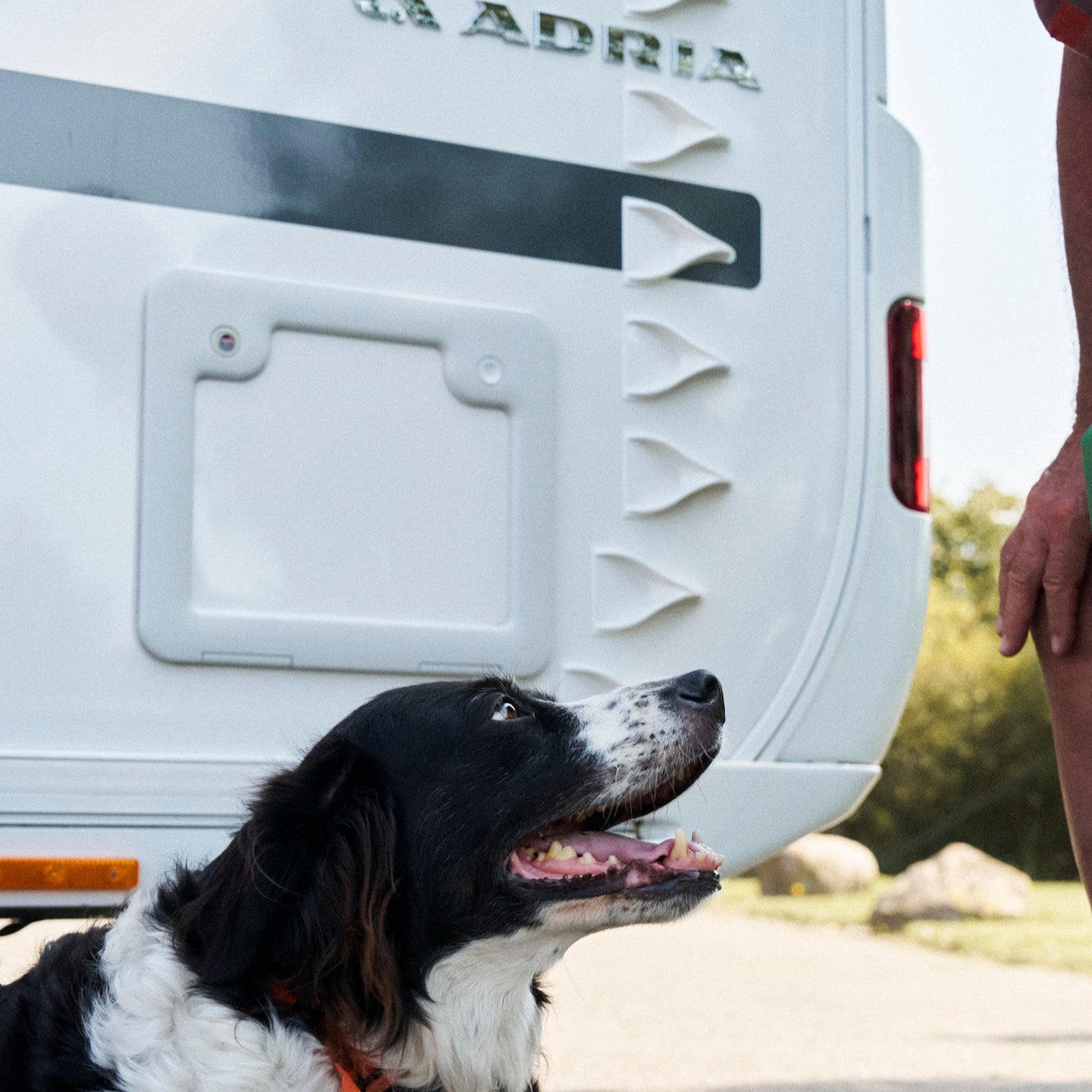 V Spoilers for caravan  (Kit of 50 pieces) -US